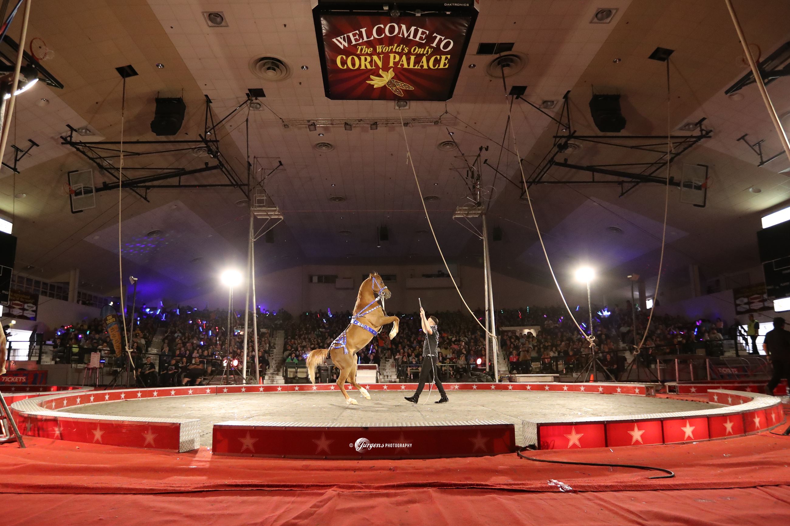CornPalace_jurgens_photo